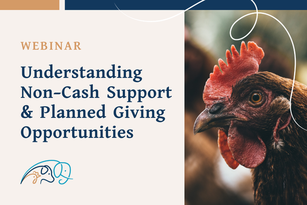 Understanding Non-Cash Support & Planned Giving Opportunities