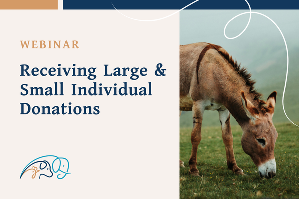 Receiving Large & Small Individual Donations