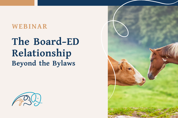 The Board-ED Relationship: Beyond the Bylaws
