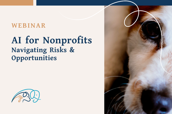 AI for Nonprofits