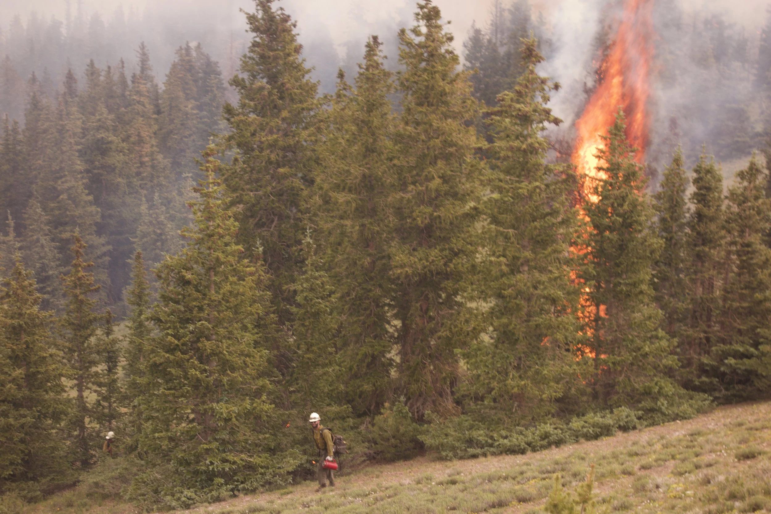 In the Ashes of Ruidoso