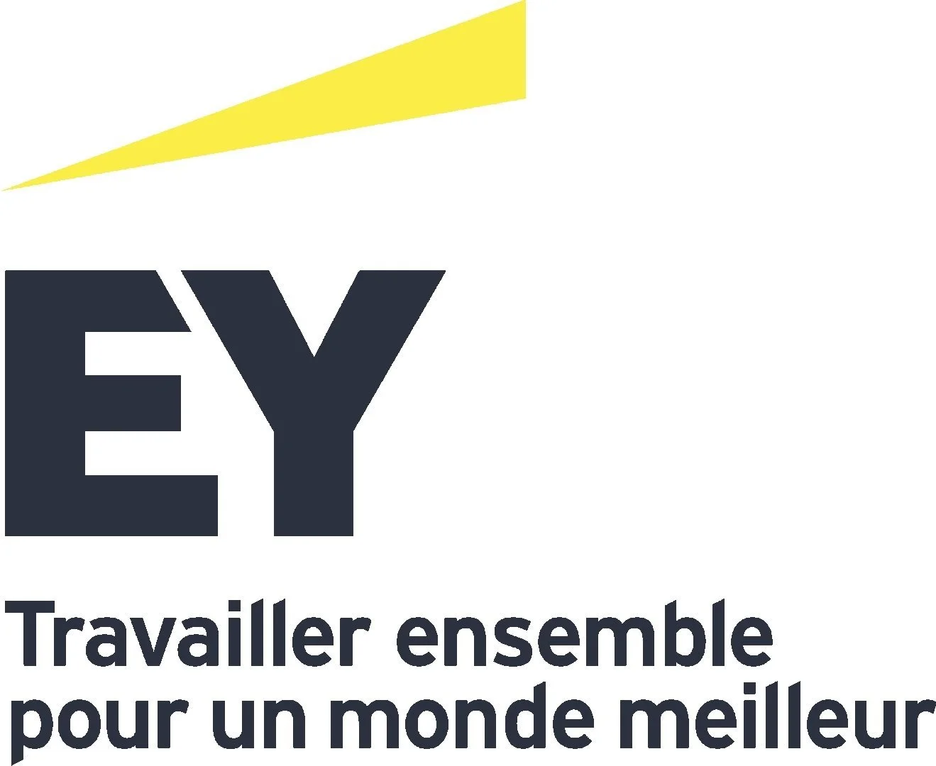 EY_Logo_Stacked_for PPT_FR.jpg