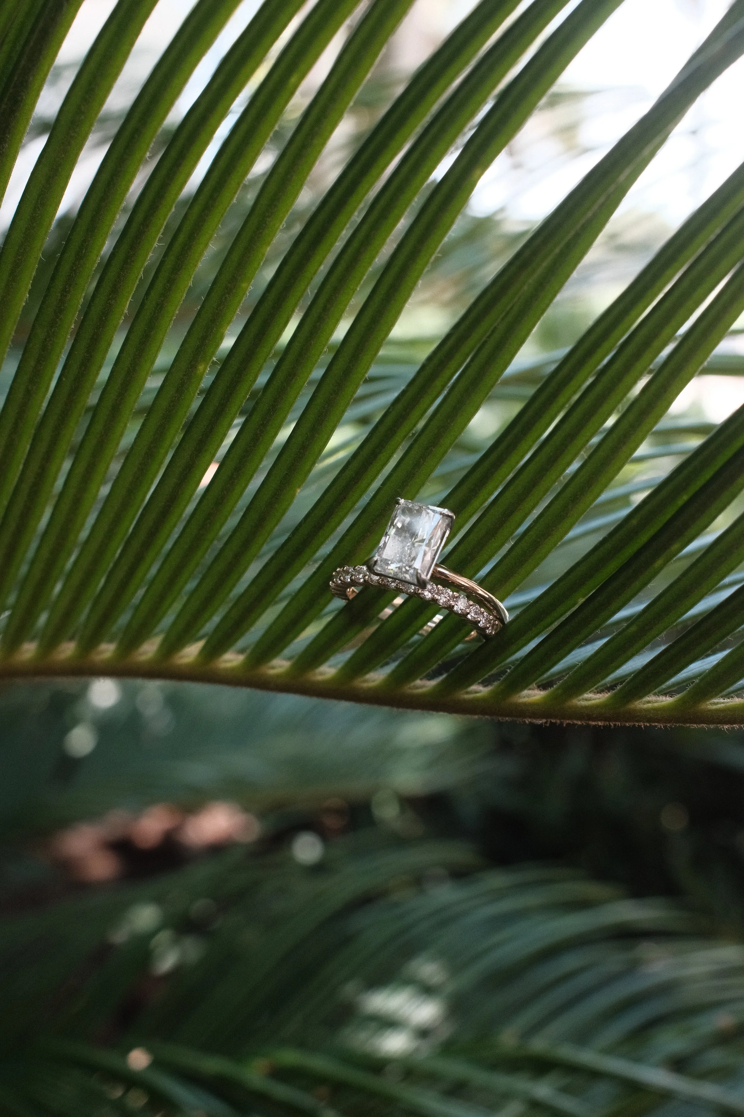 A close-up photograph of a diamond ring with a large rectangular center stone and smaller diamonds on the band, placed on green palm leaves with a blurred background.