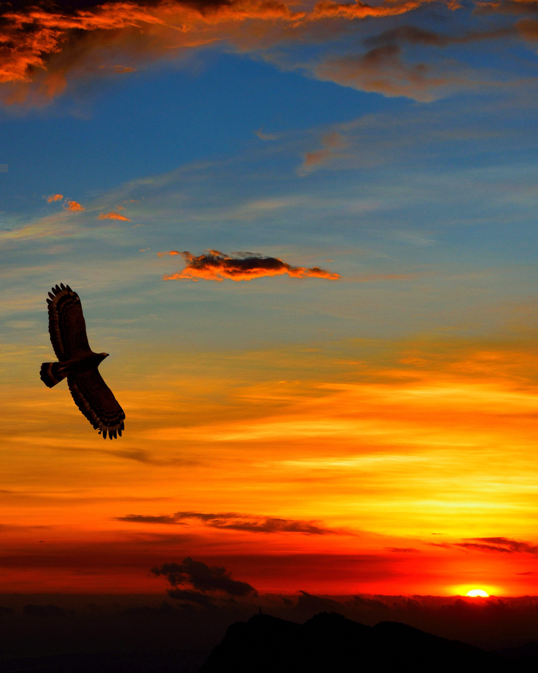 Wind Can Either Make You Hide OR Soar…Your Choice