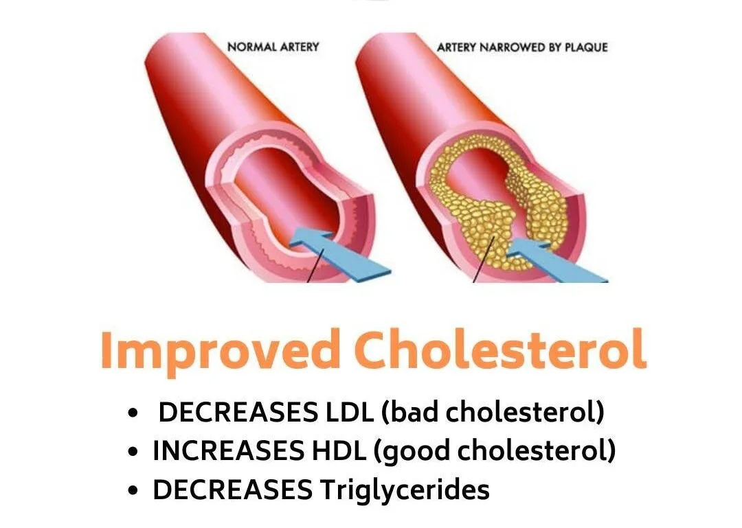 A visual diagram showing how strength training helps to improve cholesterol.