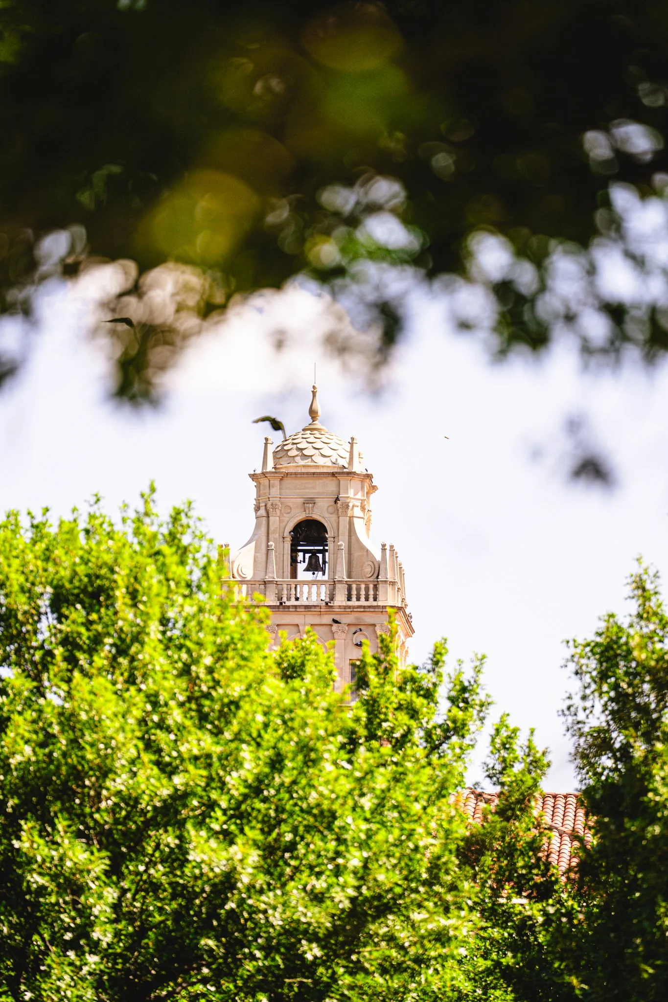 TTU - Tristan Paareds-14.jpg