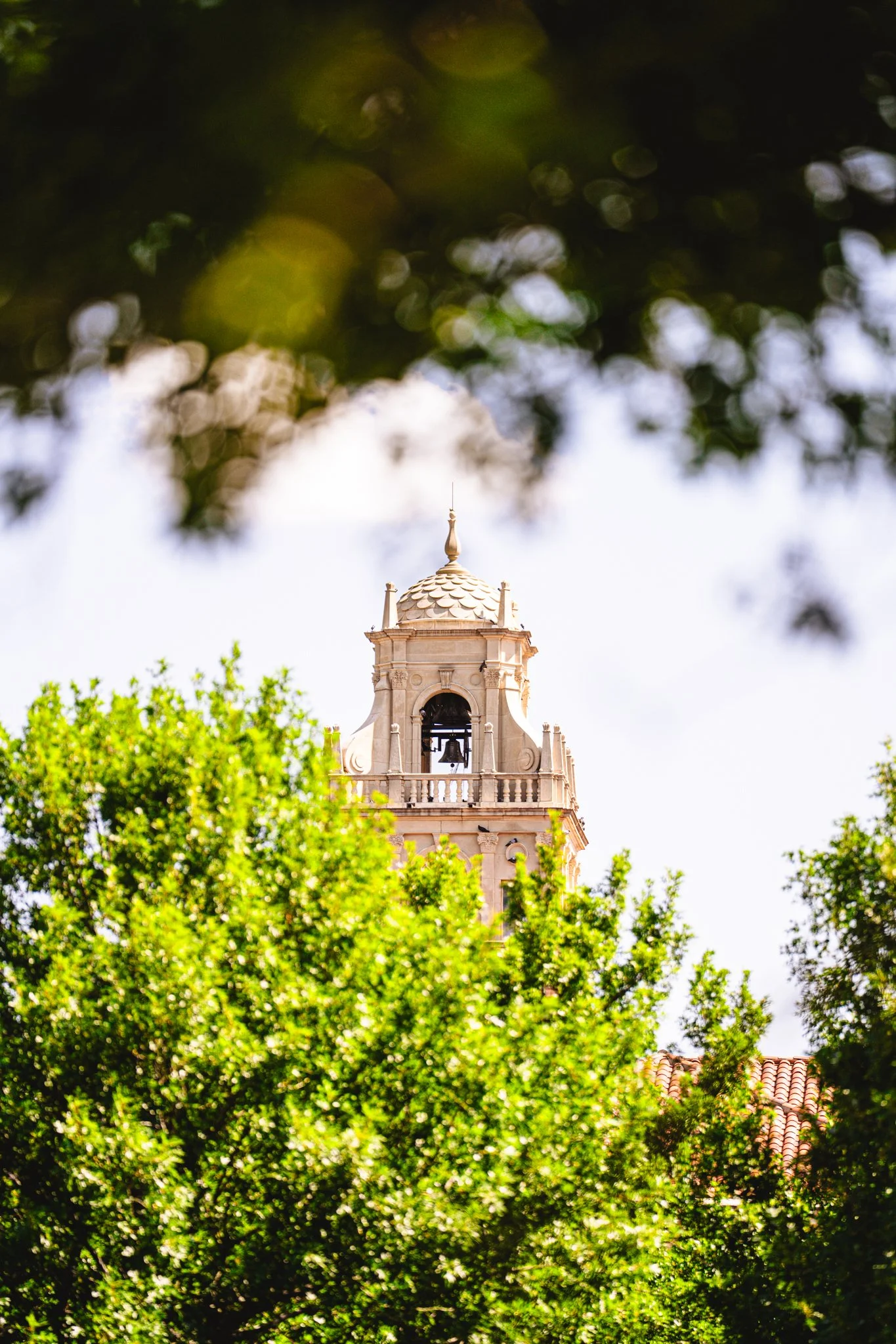 TTU - Tristan Paareds-15.jpg