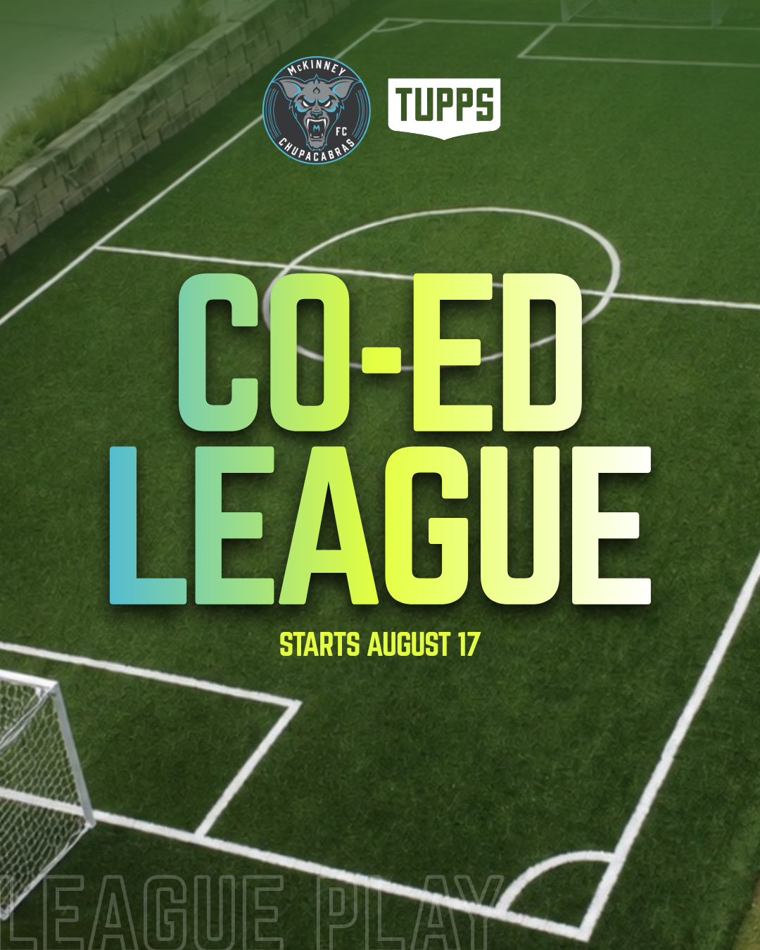Co-ed League 2.png