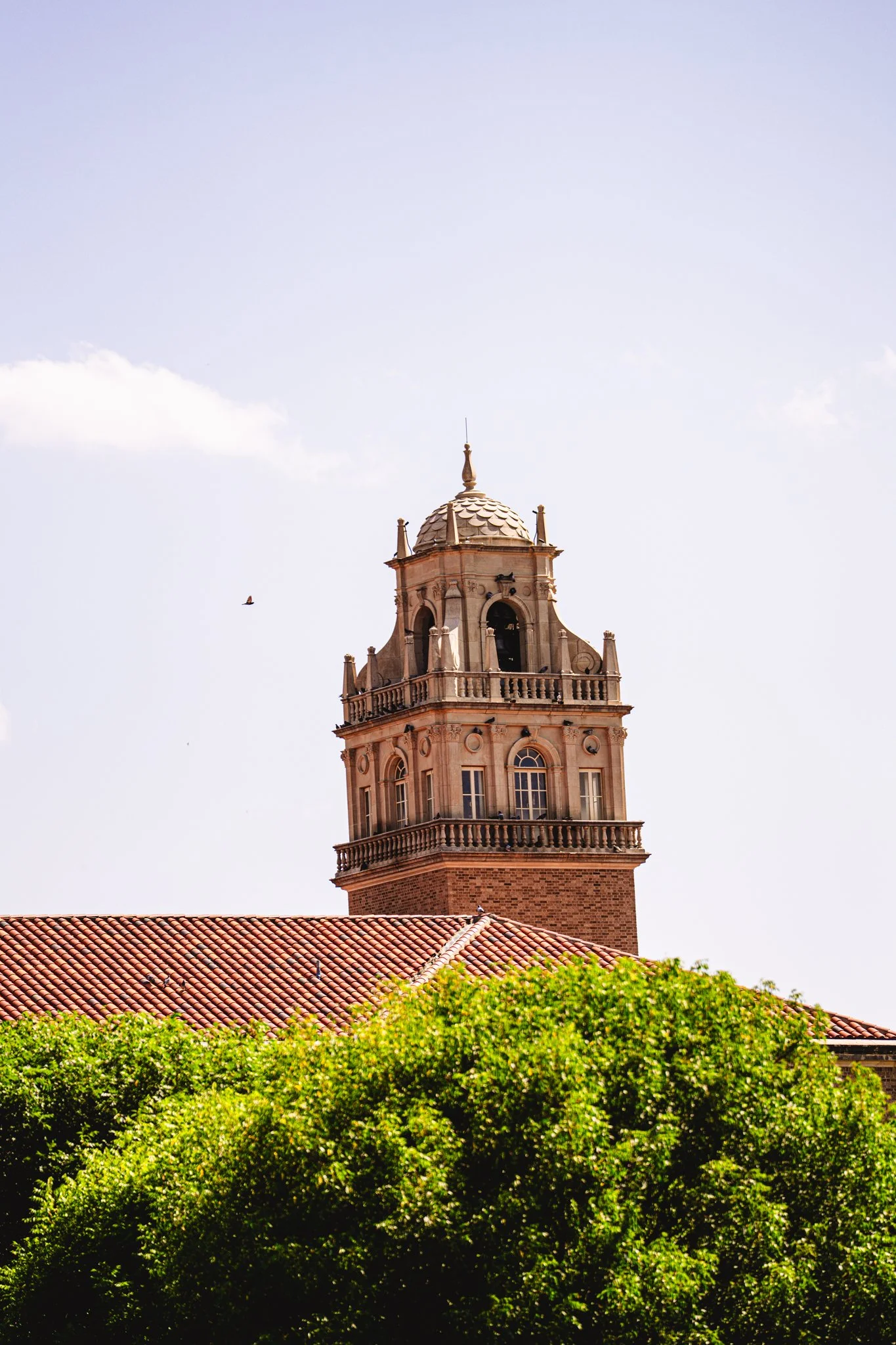 TTU - Tristan Paareds-24.jpg