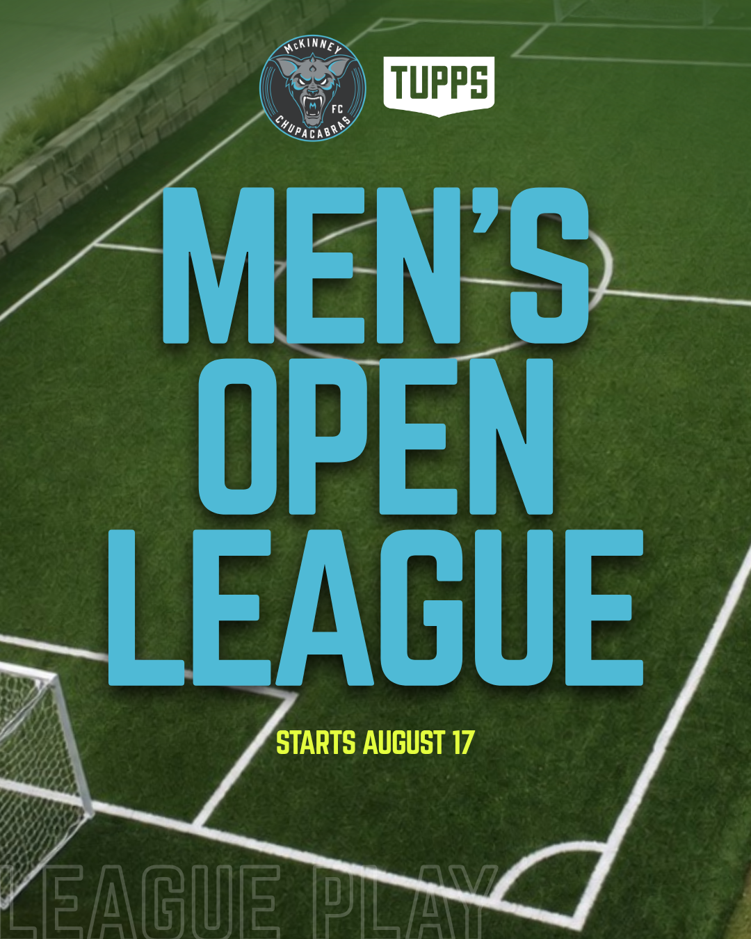 Men's Open League