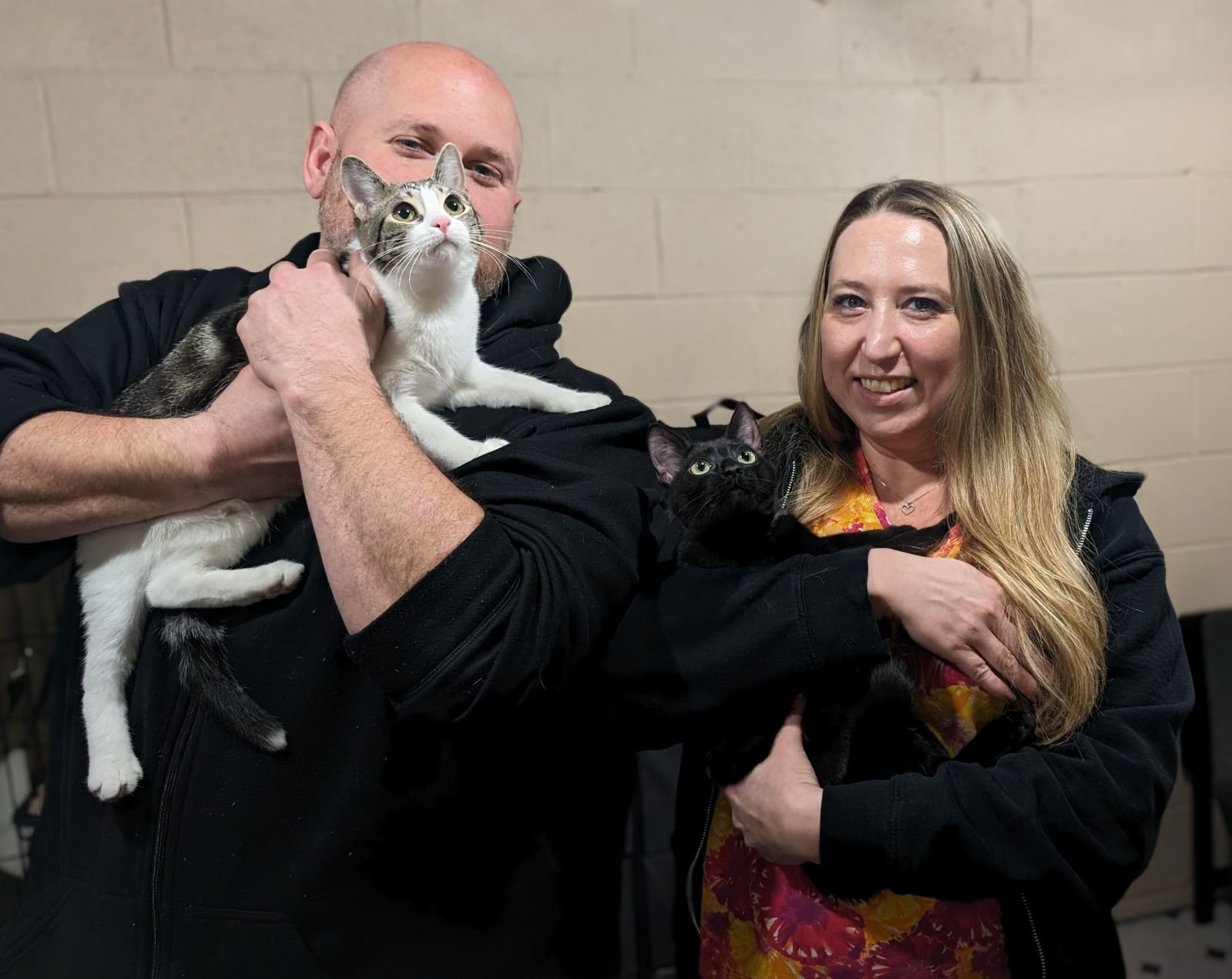 Ollie, Raven, and Livvy (not pictured due to shyness)