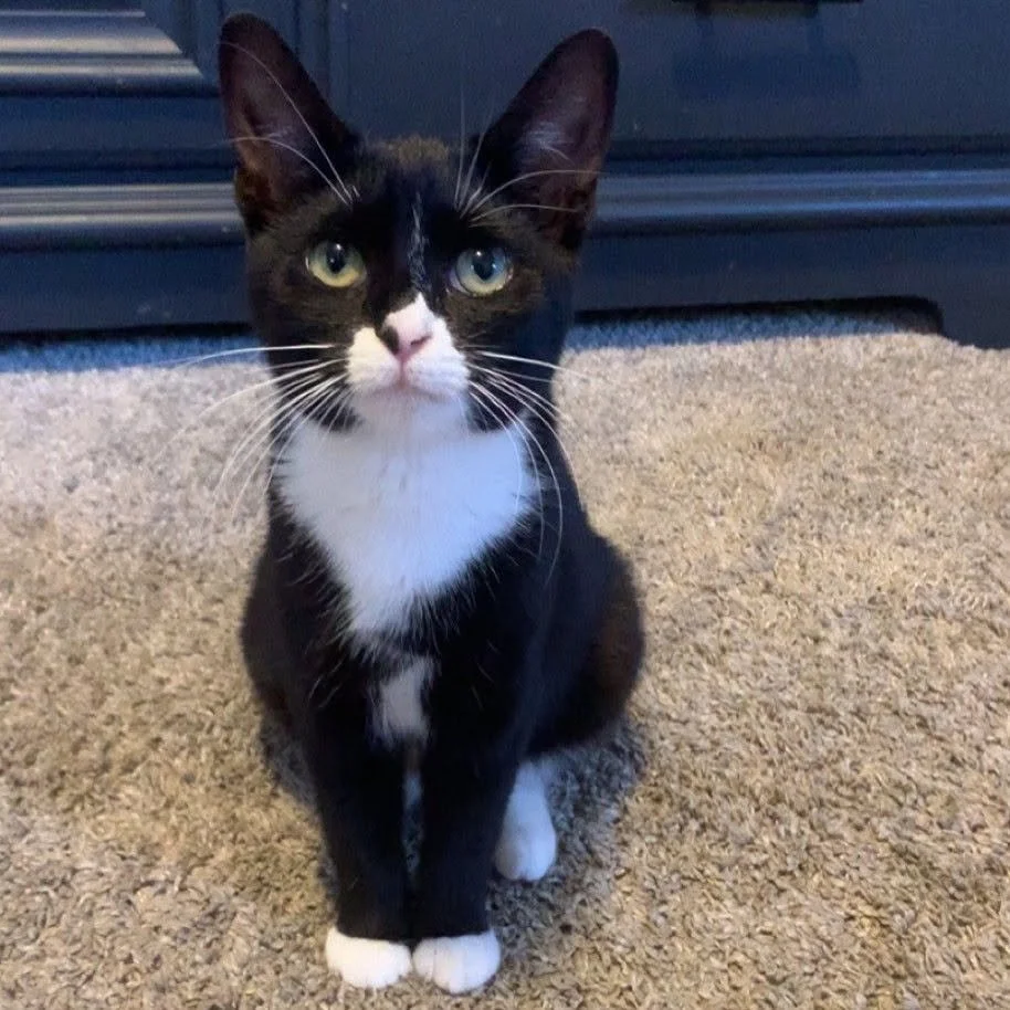 Darla2.jpg