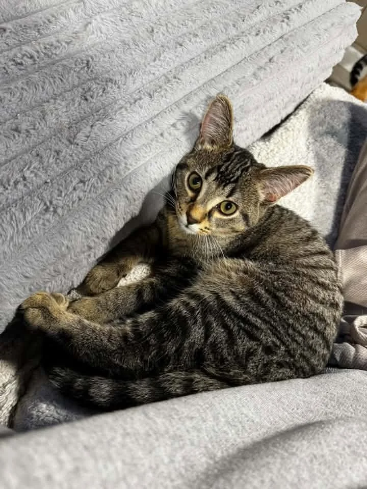 Elwood9.jpg