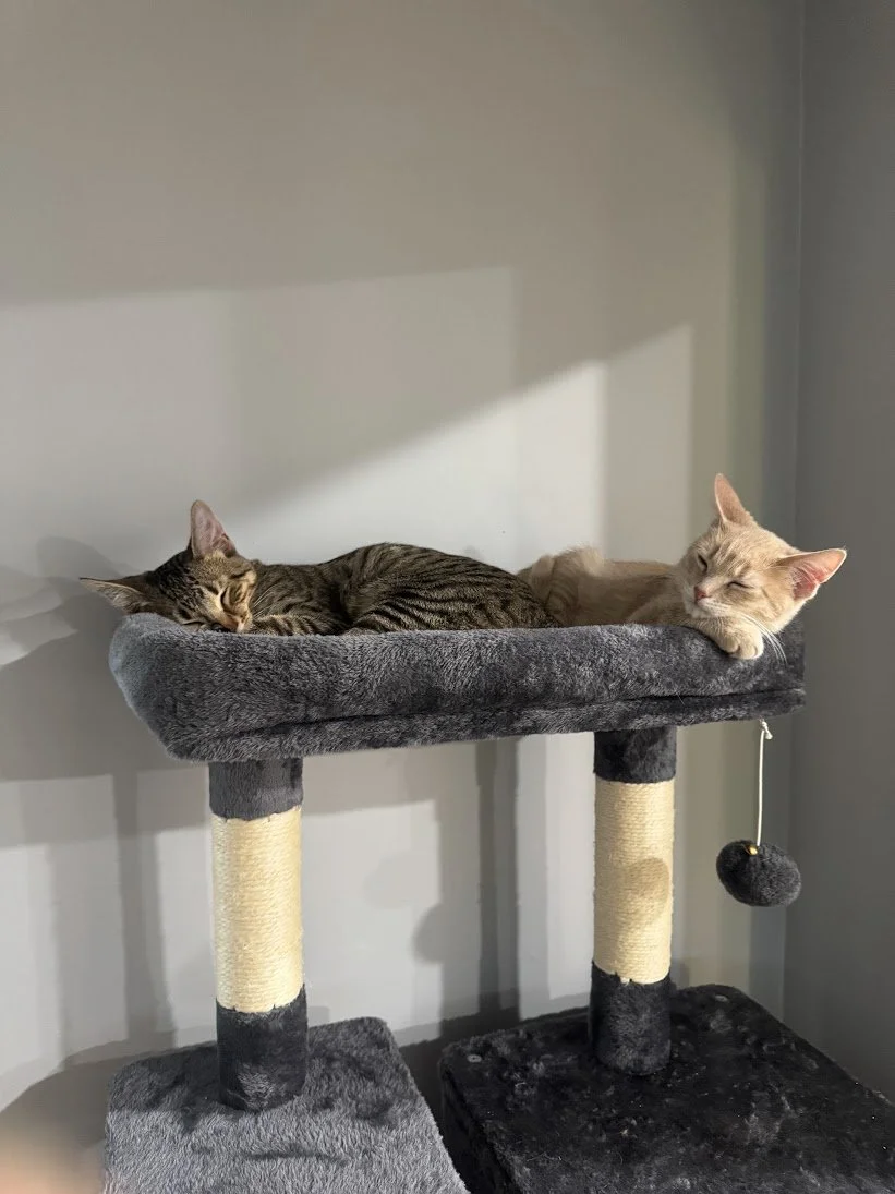 Ron and Creamer