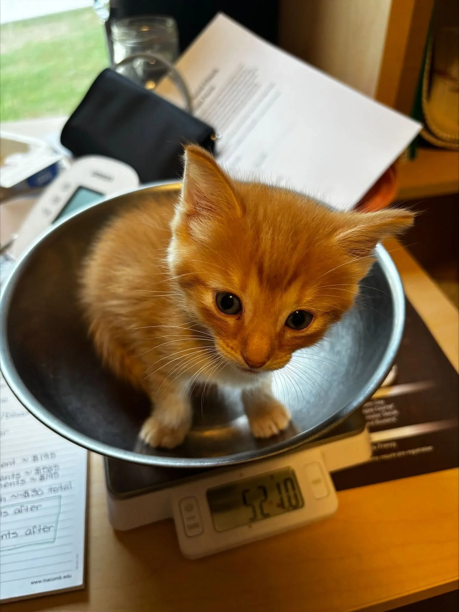 CTCrunch3.jpg
