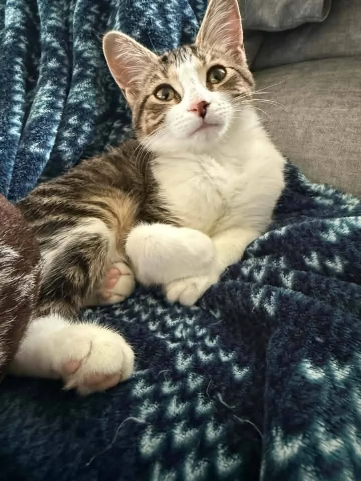 Roxy8.jpg