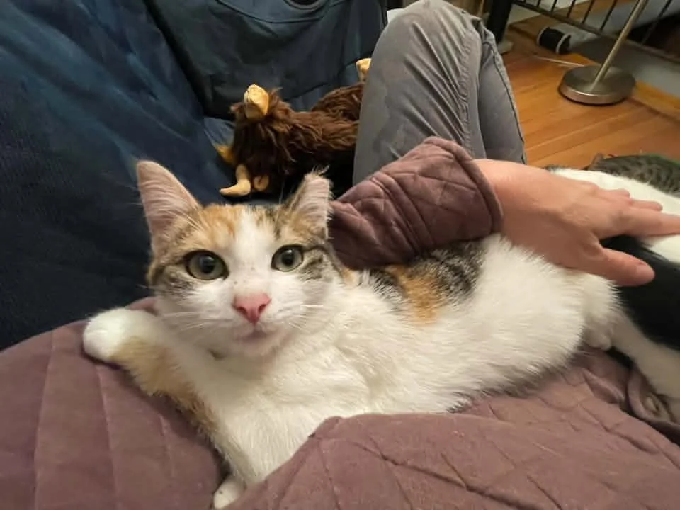 Jillian1.jpg