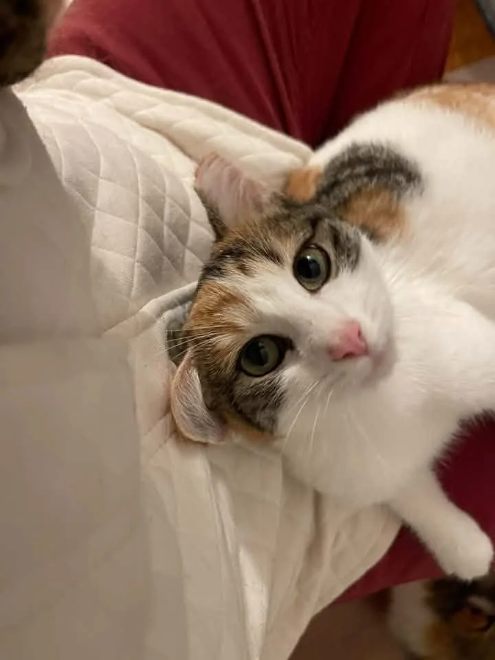 Jillian5.jpg