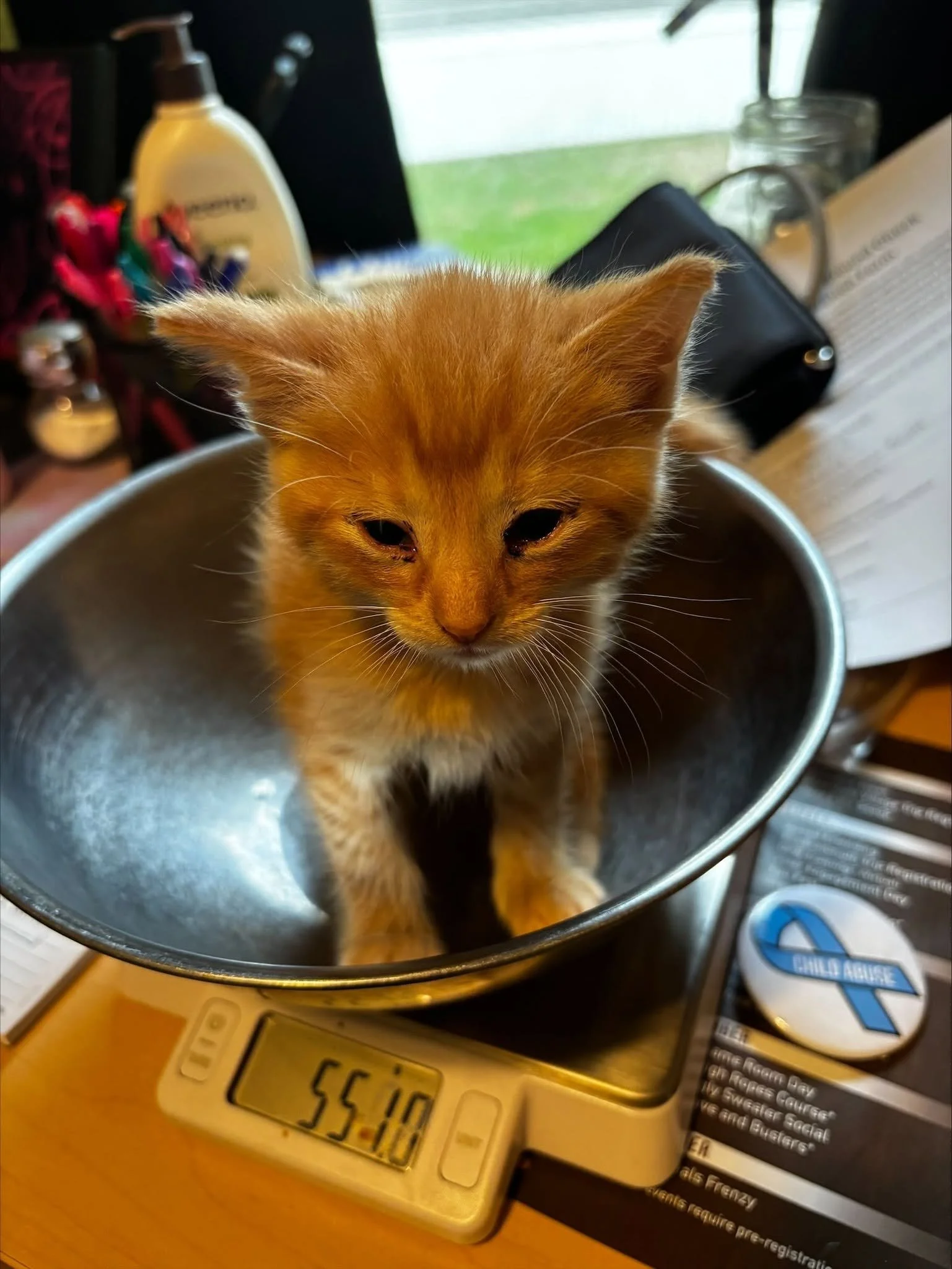 Cheerio3.jpg