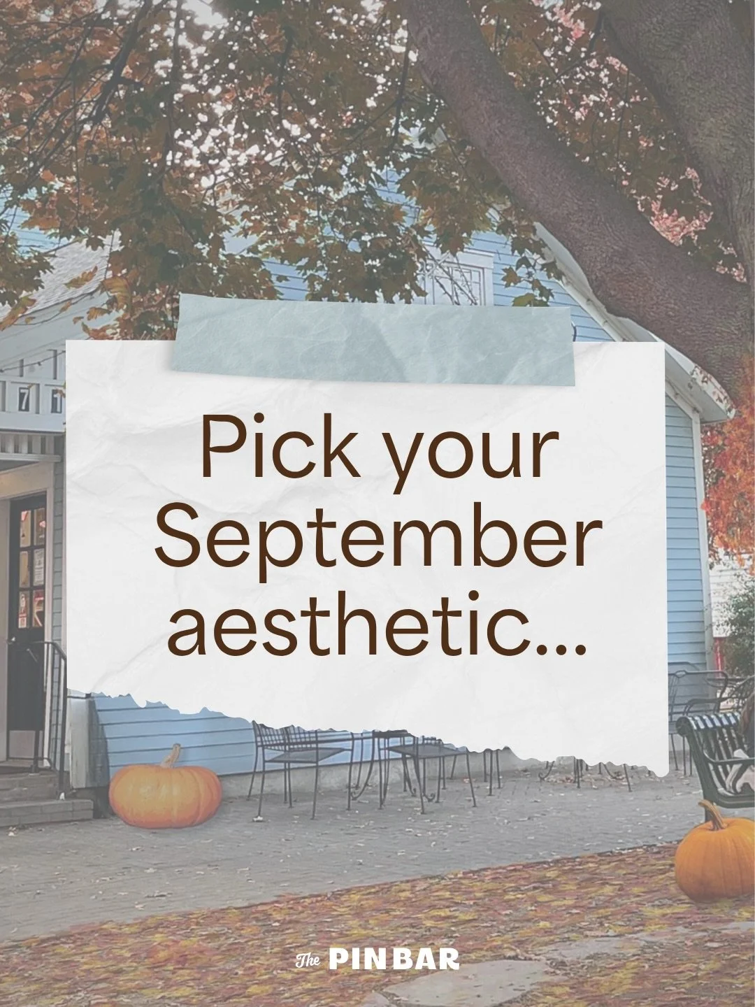 Very important September business: which fall Pinterest girlie are you? 🍂☕️📚

Are you: 🕯️the cozy homebody 🍎 the apple orchard optimist 📚 the library regular 👢 the fall socialite 🌞 or the summer holdout who is still drinking iced coffee in san