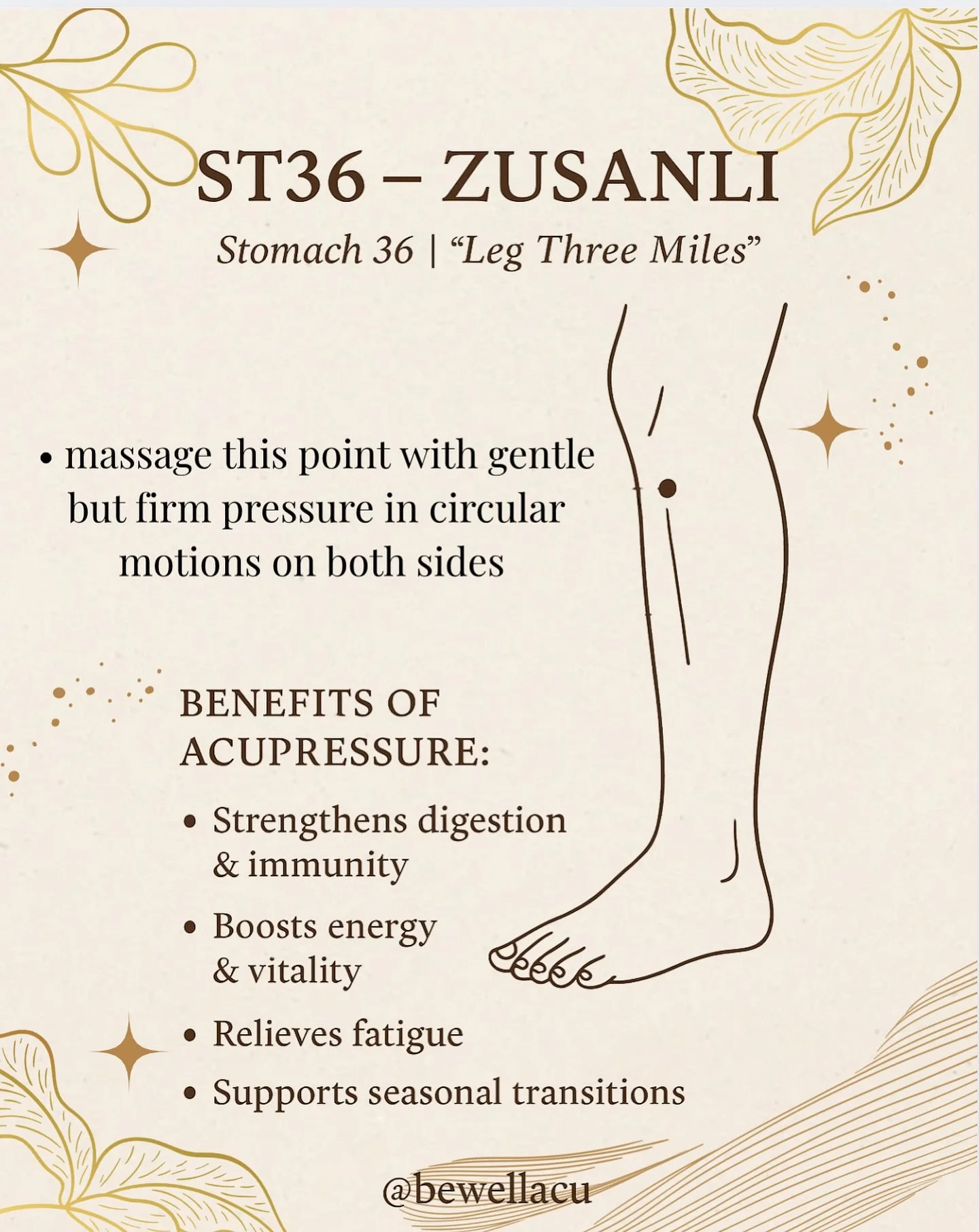 ✨ Meet ST36 &ndash; Zusanli ✨
Known as &ldquo;Leg Three Miles,&rdquo; this powerful point is a go-to for boosting energy, digestion, and immunity. 🌿

💆&zwj;♀️ Try gently massaging this point in circular motions on both legs for a simple self care r