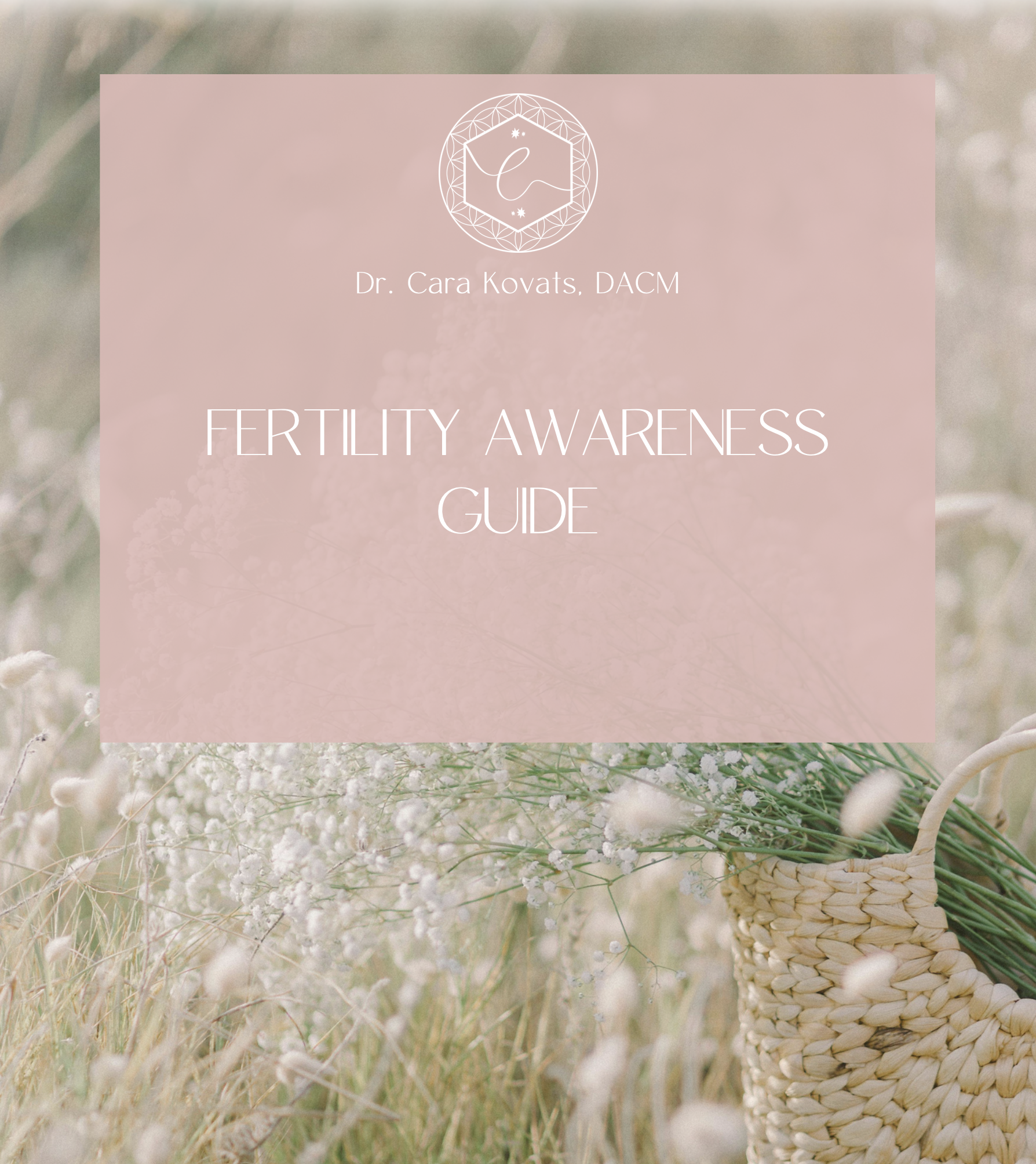 Screenshot 2026-02-22 at 5.53.16 PM.png