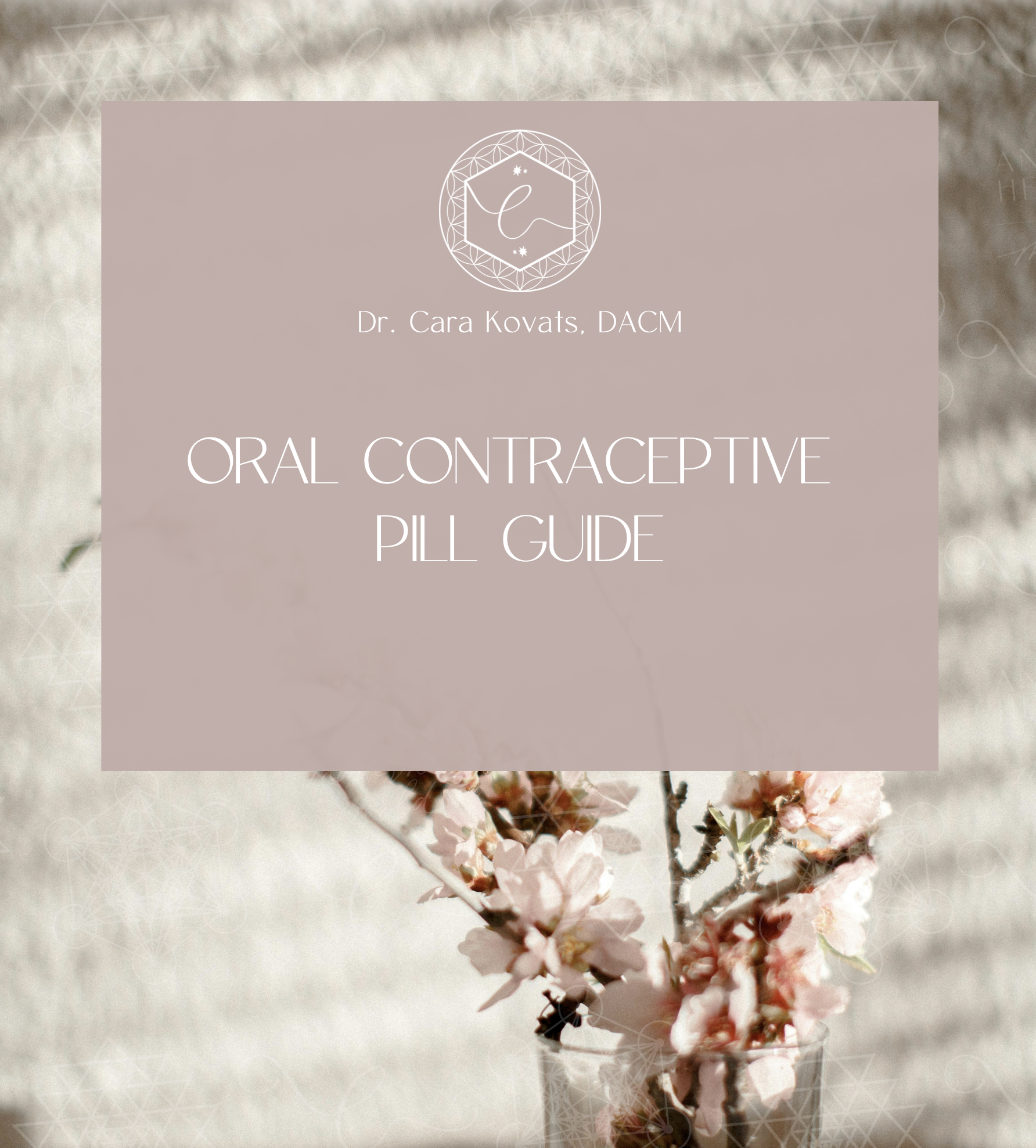 Screenshot 2026-02-22 at 6.02.22 PM.png