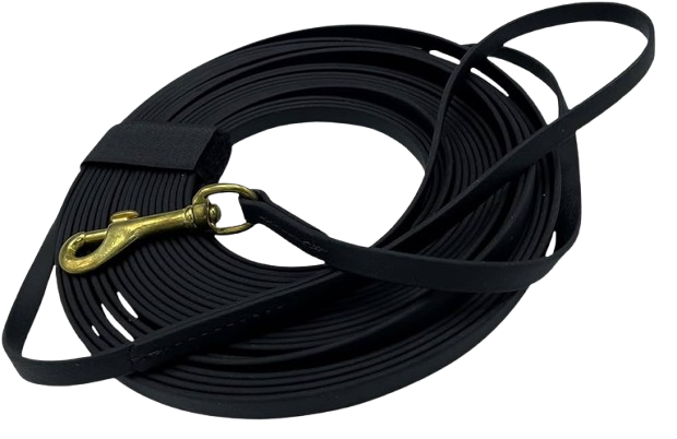 A black dog long line with a brass clasp and a loop handle.