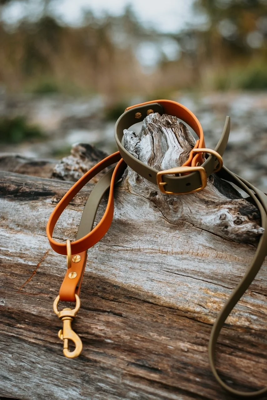 Dog collar and leash resting on a weathered piece of wood outdoors, with a blurred natural background.
