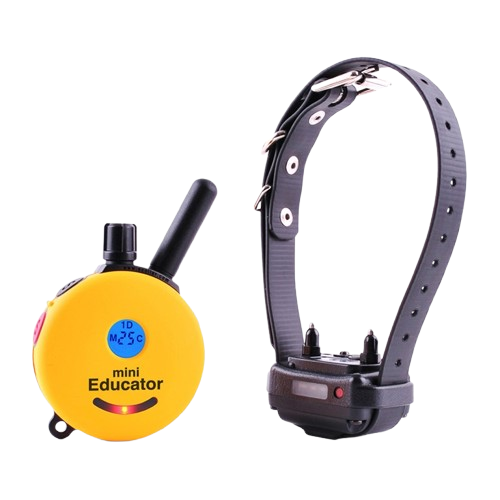 A yellow receiver for a mini educator ecollar