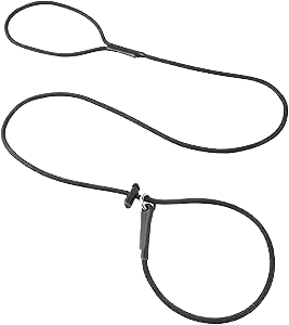A black slip leash for dogs