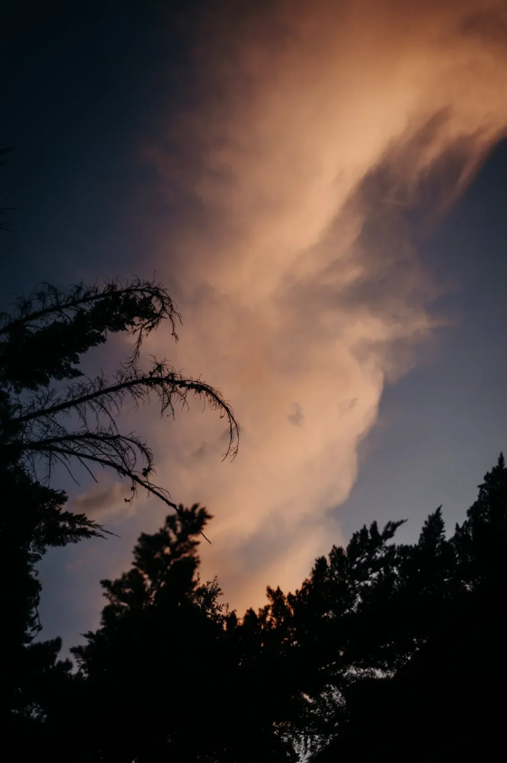 ciel-dramatique-coucher-soleil-mariage-photographe-mariage-film-mariage-the-wild-strawberry.webp