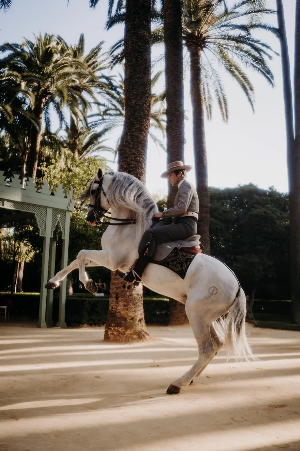 spectacle-equestre-cheval-blanc-seville-mariage-insolite-destination-wedding-photographe-mariage-video-mariage-the-wild-strawberry.webp
