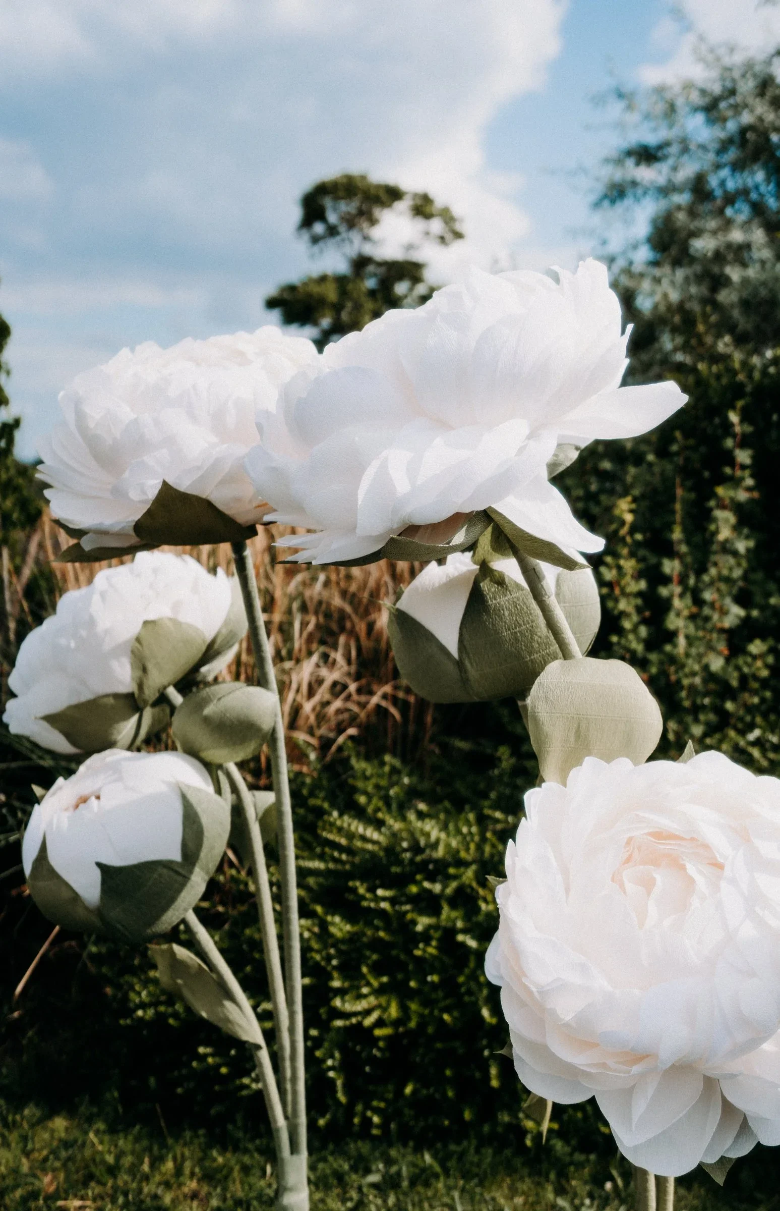 pivoine-geante-blanche-decoration-ceremonie-mariage-photographe-mariage-video-mariage-the-wild-strawberry.webp
