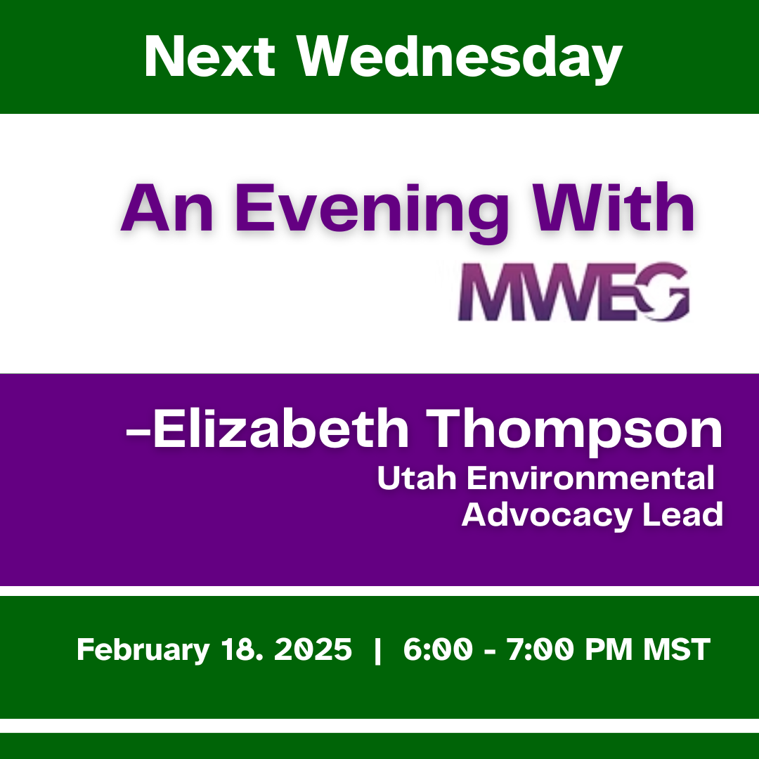 An Evening with MWEG