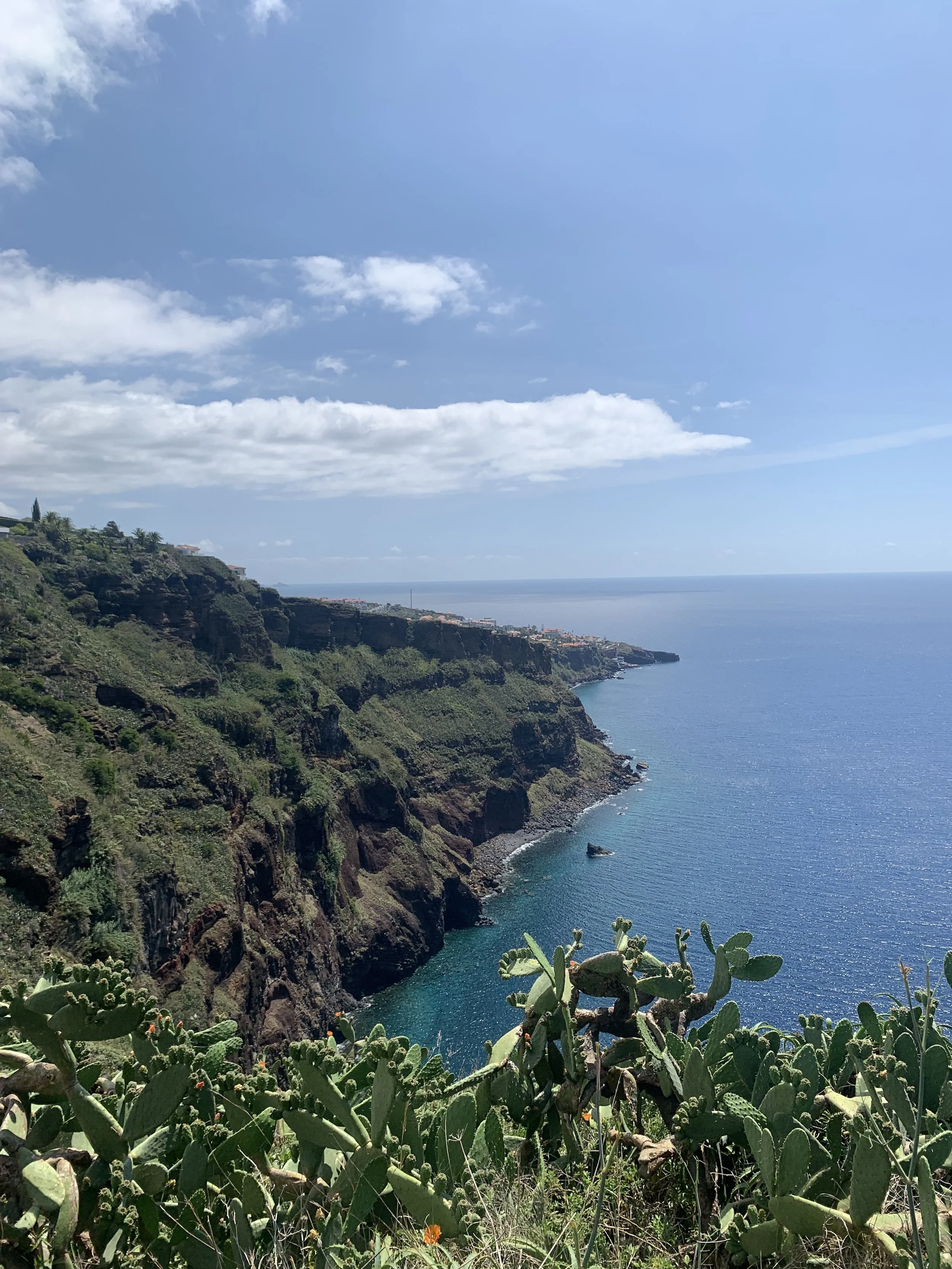 Cliffs along the ocean with green vegetation and cacti in the foreground, blue sky with clouds overhead.