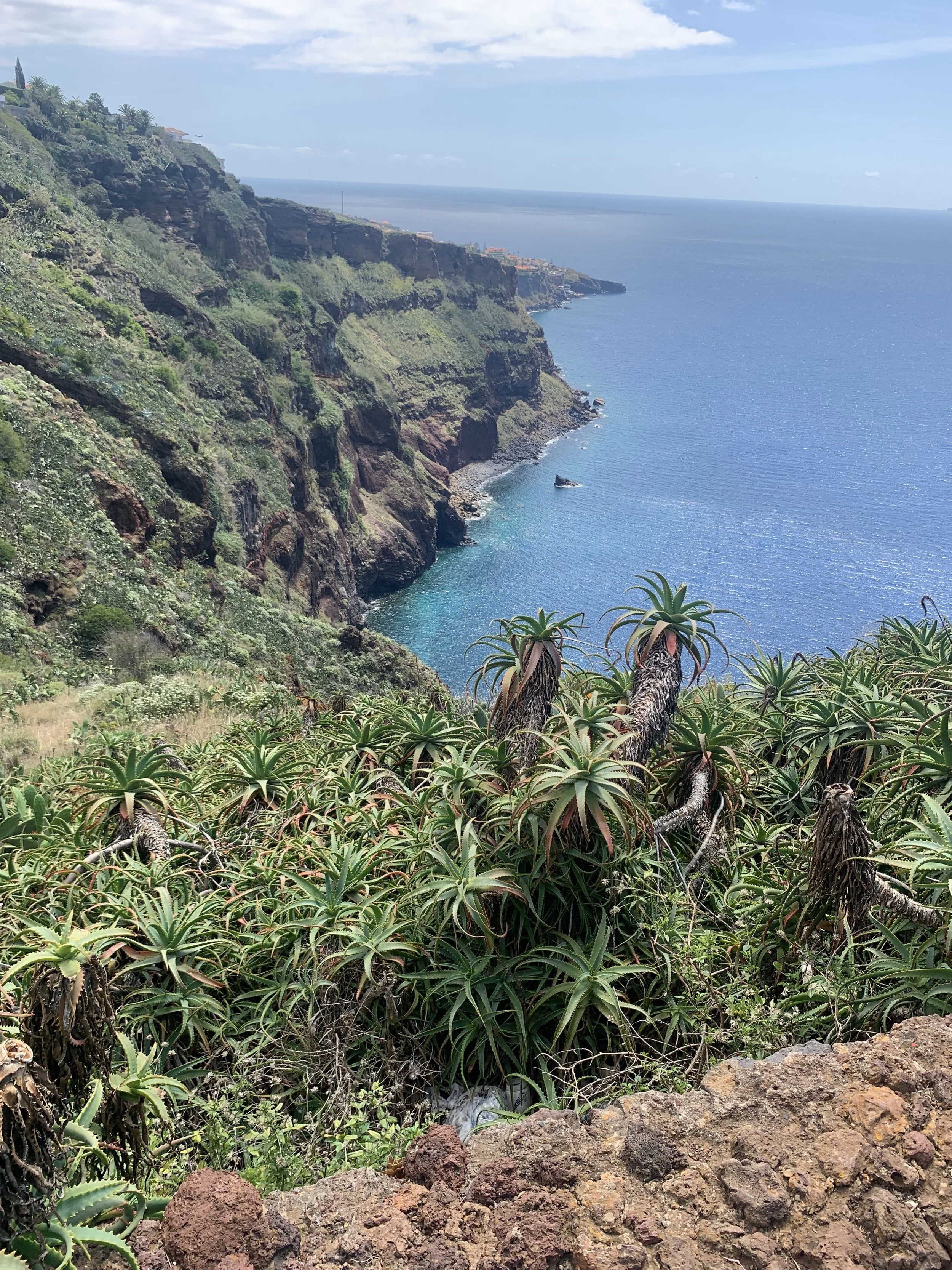 Coastal landscape with steep cliffs covered in greenery, overlooking the blue ocean with a rocky shoreline, under a partly cloudy sky.