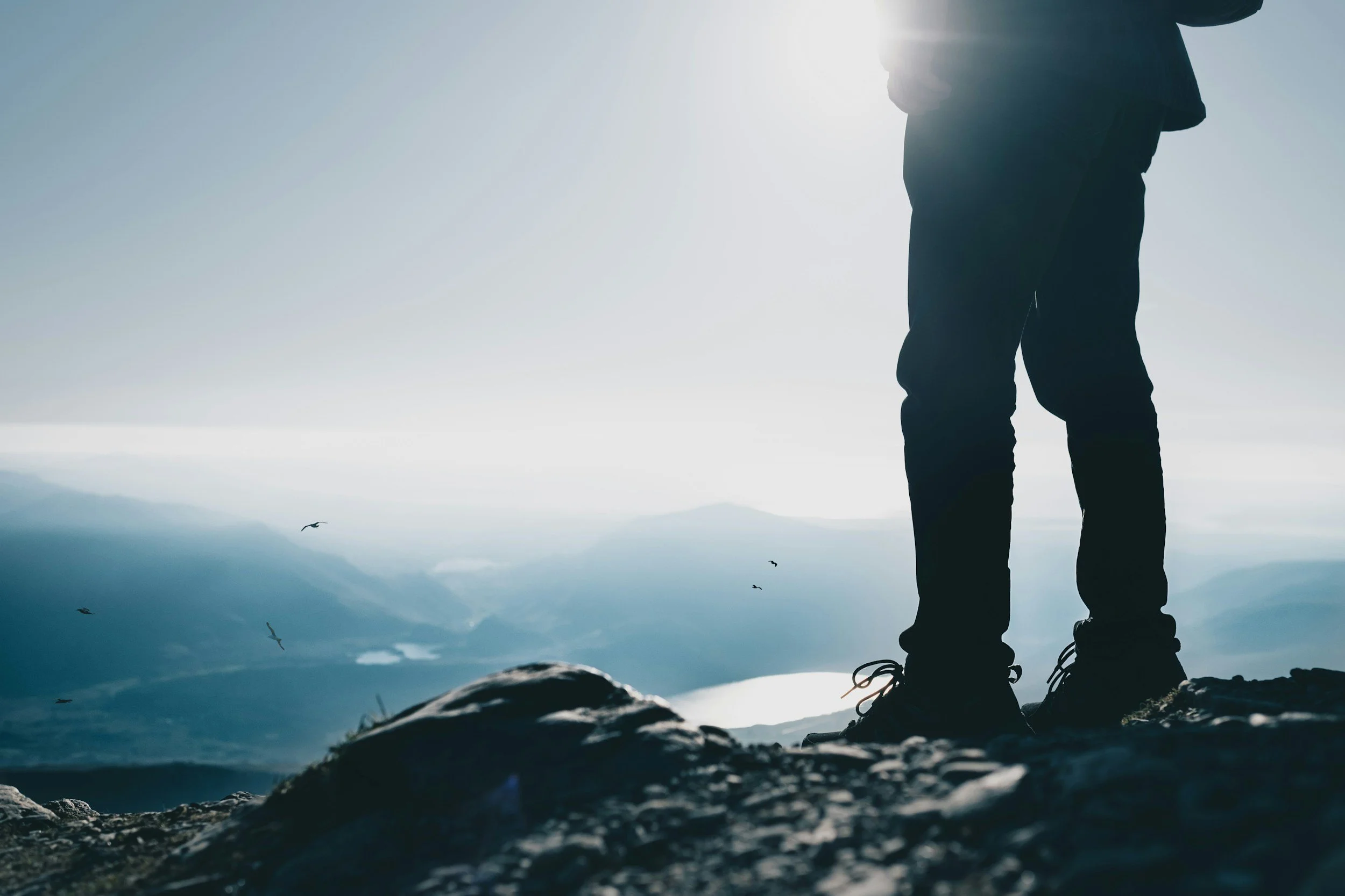 The Principle of Followership