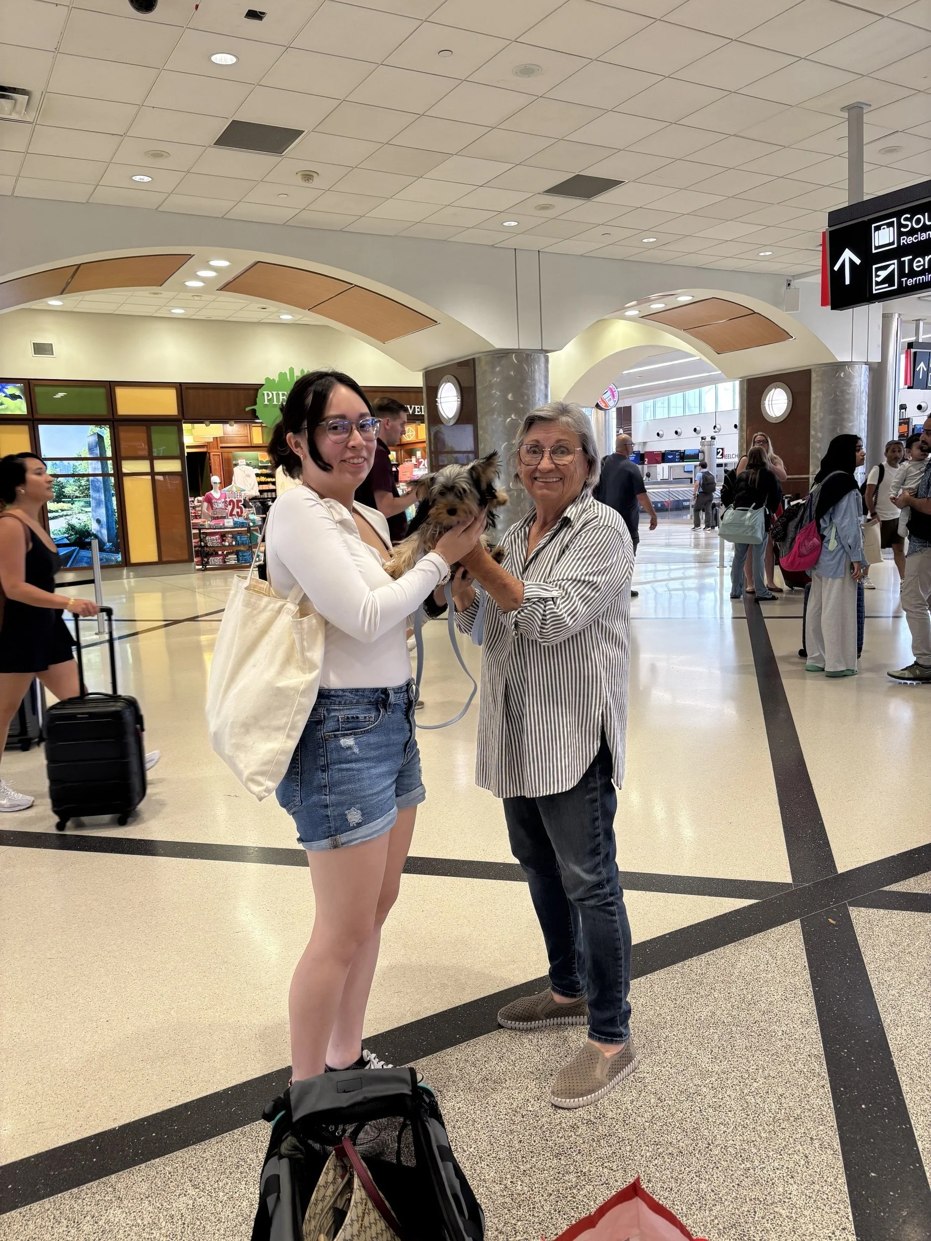 Yorkshire Terrier puppy being delivered to her new family at the airport through our in-house flight nanny service in Southern California