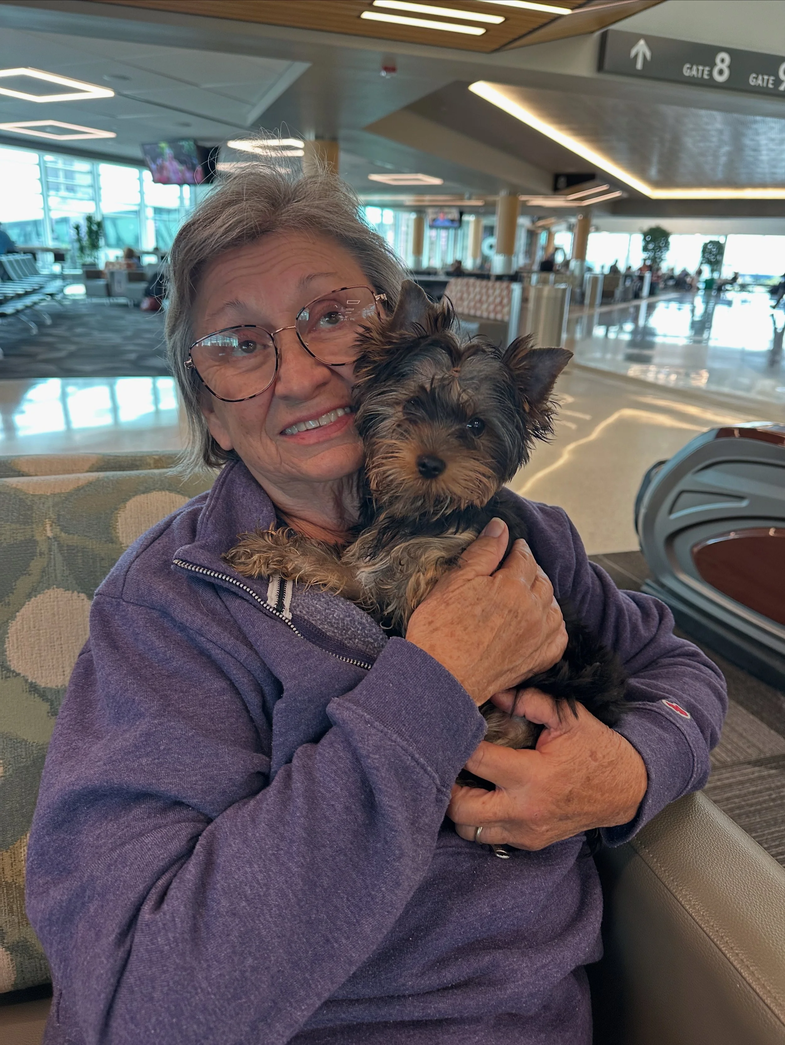 Flight nanny holding a Yorkshire Terrier puppy at an airport terminal near Gate 8 before in-cabin pet transport from Southern California.