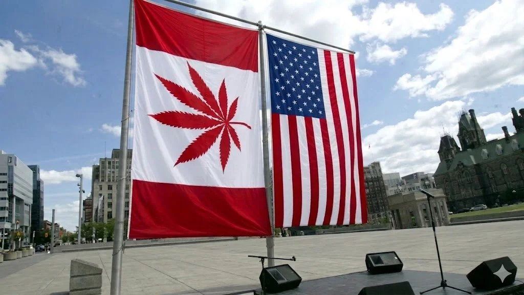 Cannabis MSOs Returning to US from Canada&nbsp;