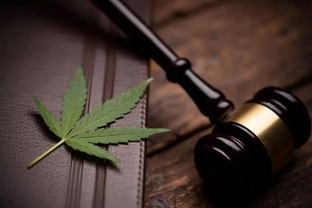 The Cannabis Illegality Defense Is Back, and It Just Got Sharper Teeth&nbsp;
