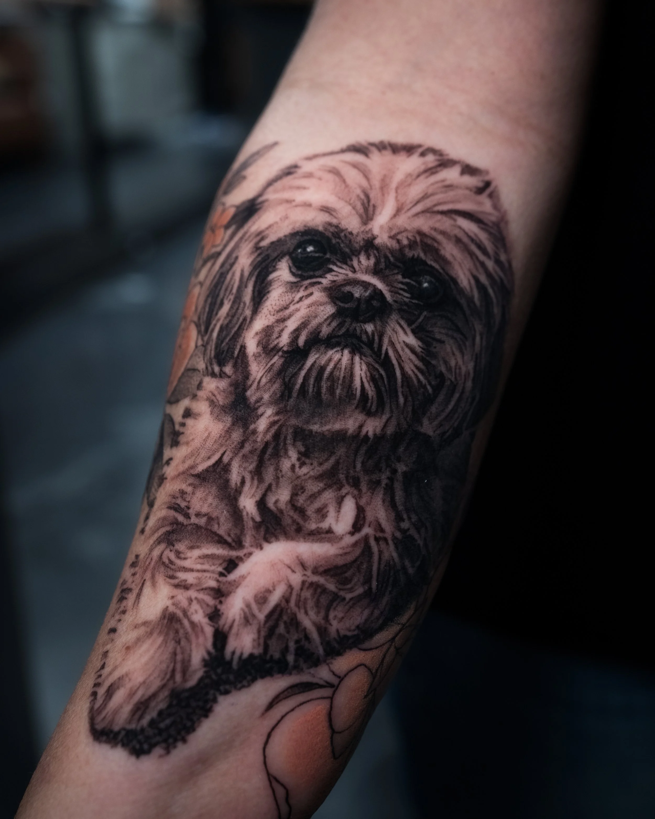 DSC04084-1_3277x4096_U_100_Long Edge.jpg