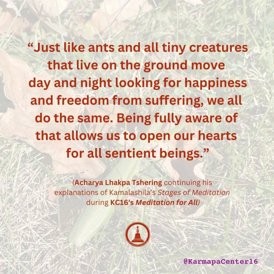 👉 A reminder as to why Yogis and Buddhists are Vegetarians...

From @KarmpaCenter16

&ldquo;After last week's teachings on the equality of self and other, Acharya continued his explanations of Kamalashila's Stages of the Path of Meditation. Last wee