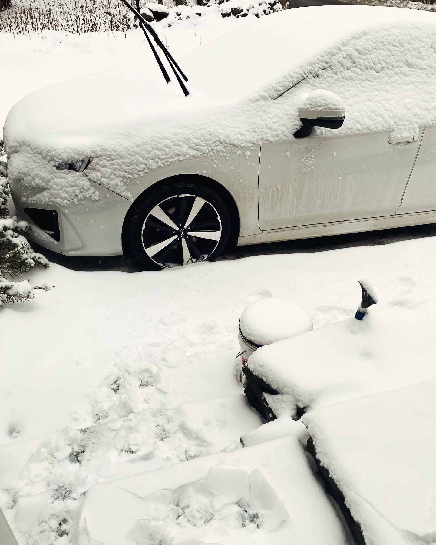 ❄️SUNDAY CLASS TODAY❄️ 2-HOUR DELAY.  12-1:30 just show up. I&rsquo;ll teach a shoveling recovery class.