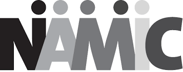 NAMIC logo with stylized text.