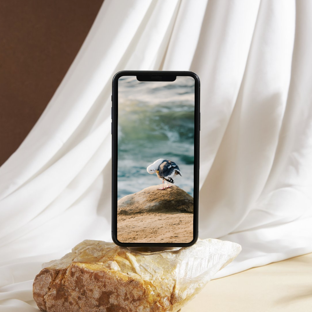 Untitled design (39).png