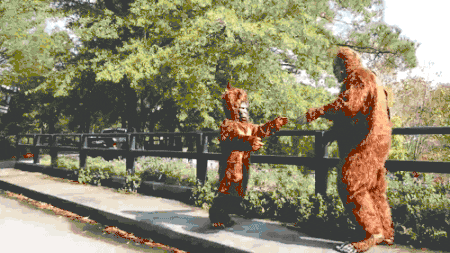 sasquatch throw_compressed.gif
