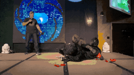 Leg sweep_compressed.gif