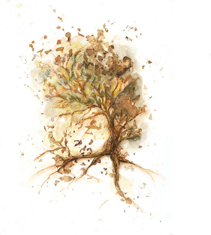 Tree of Life